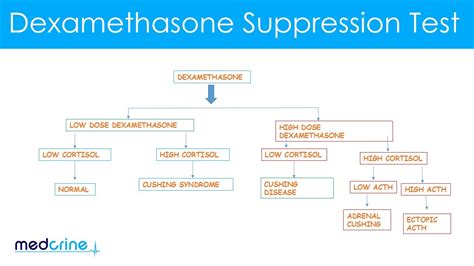 dexastep|Dexamethasone Suppression Test .
